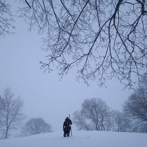 Meet your Posher, Darlyn